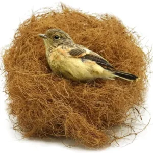 coconut fiber for bird nest